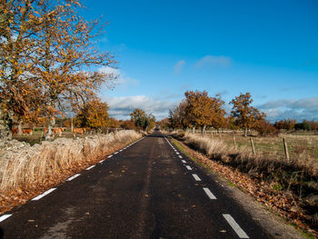 Empty road amidst trees on field against sky