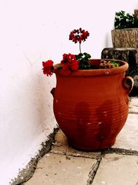 Close-up of red flower pot on potted plant against wall