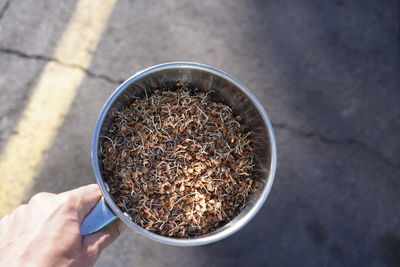 Germinated sprouted lentils carried in pot on street