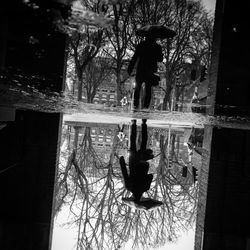 Reflection of trees in water