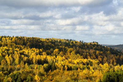 Trees on field against cloudy sky