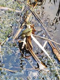 Close-up high angle view of water