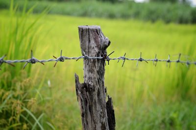 Barbed wire fence on field