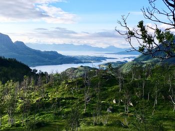 Scenic view of landscape against sky