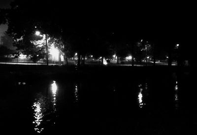 Reflection of illuminated trees in puddle