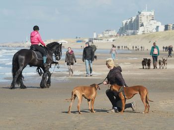People and horse with dogs on shore