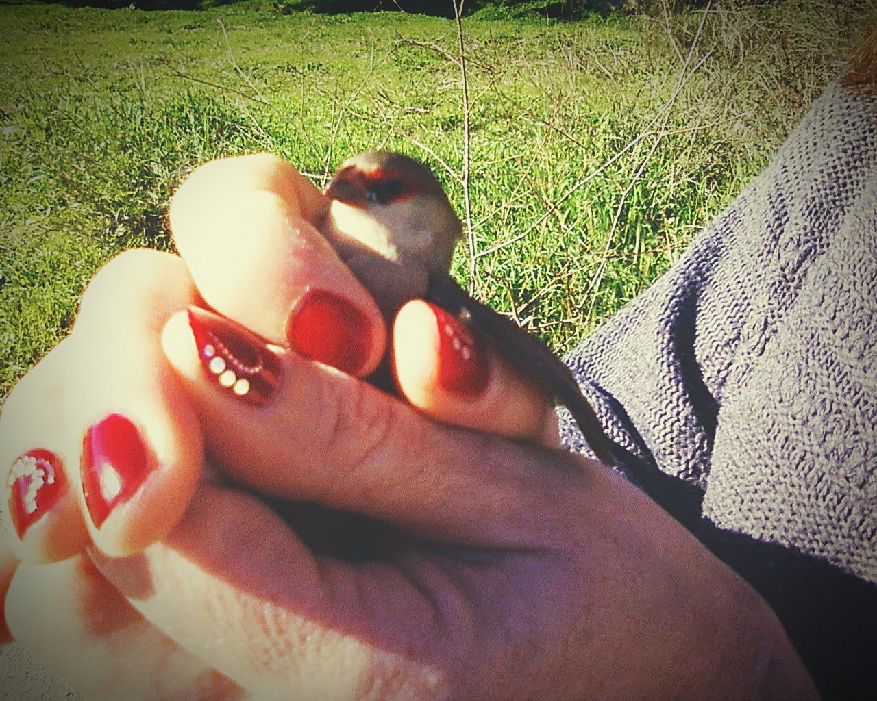 person, part of, lifestyles, leisure activity, grass, personal perspective, togetherness, low section, field, high angle view, love, bonding, human foot, relaxation, baby