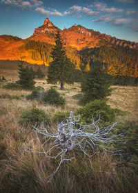 Morning light in ciucas mountains, romania.