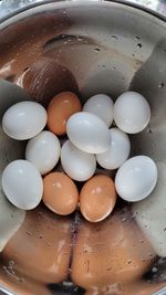 Close-up of eggs in bowl