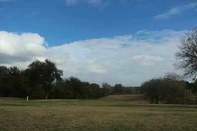 Trees on field against sky