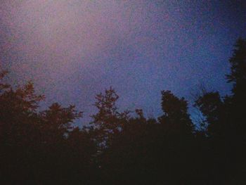 Low angle view of silhouette trees against clear sky