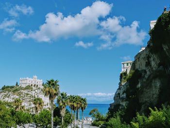 Trees and buildings by sea against sky