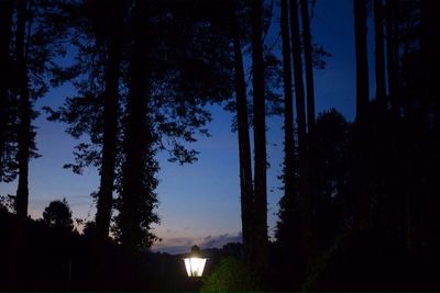 Silhouette trees in forest against sky at night