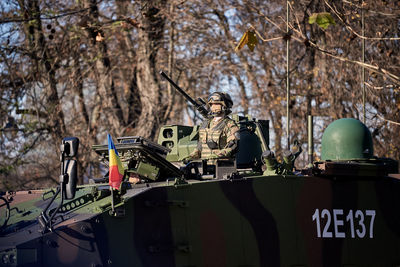Graffiti on wall by trees and plants