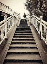 Low angle view of stairs