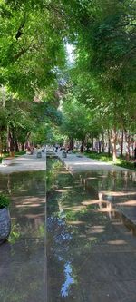 Fountain in park during rainy season