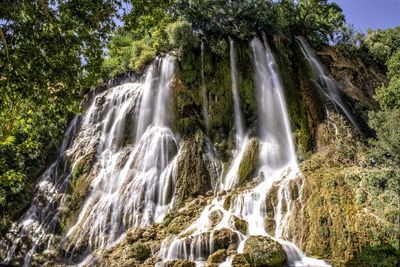 Scenic view of waterfall in forest