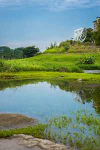 Scenic view of landscape against sky
