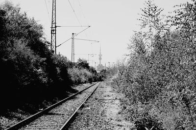 Railroad track amidst trees against clear sky