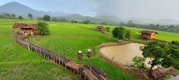 Scenic view of agricultural field