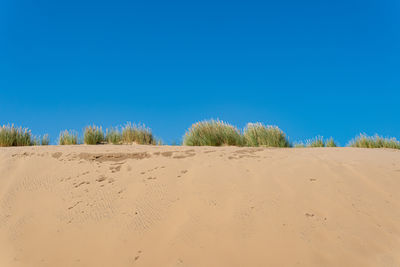 land