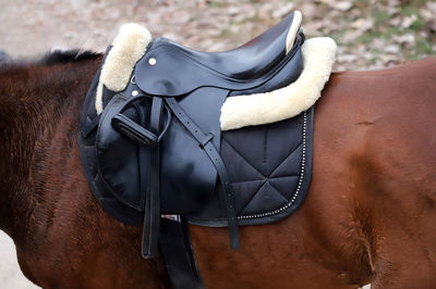 Close-up of person wearing hat