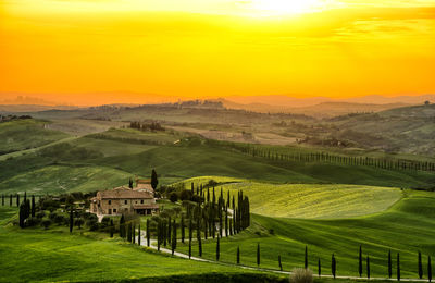 Scenic view of agricultural field against sky during sunset