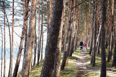 Rear view of man walking in forest