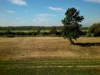 Scenic view of field against sky