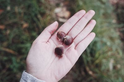 Close-up of hand holding finger