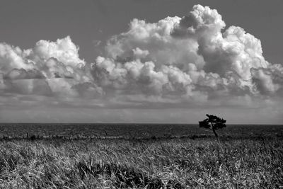 Scenic view of sea against cloudy sky