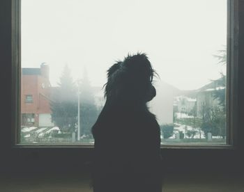 Rear view of silhouette woman looking through window