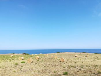 Scenic view of sea against clear blue sky