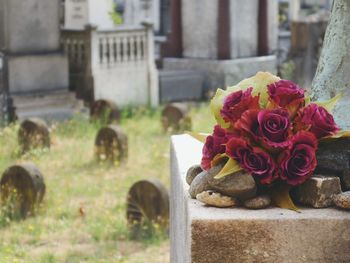 Close-up of rose bouquet on cemetery