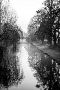 Reflection of trees in lake against sky