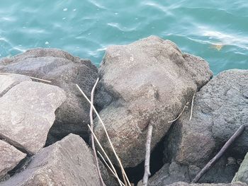 High angle view of rock on beach