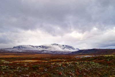 Snowy peak above the tree line in the mountains of norway 