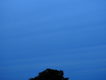 Low angle view of silhouette trees against blue sky