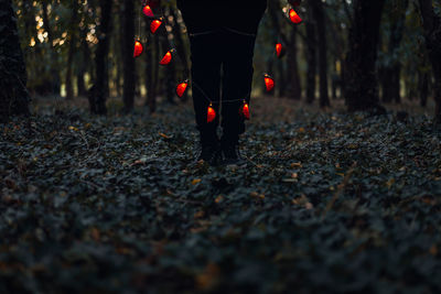 Low section of person holding illuminated lighting equipment at forest