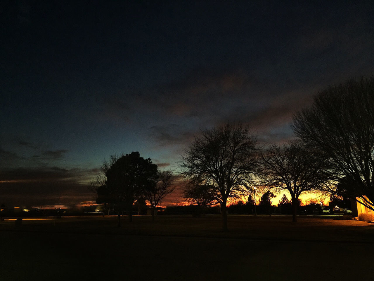 silhouette, tree, sky, illuminated, night, sunset, dusk, dark, tranquility, tranquil scene, scenics, street light, nature, bare tree, cloud - sky, beauty in nature, road, outdoors, landscape, street