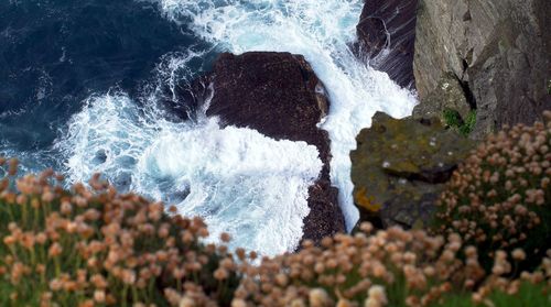 Close-up of rocks on beach