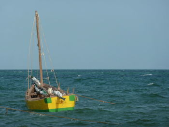 Sailboat in calm sea