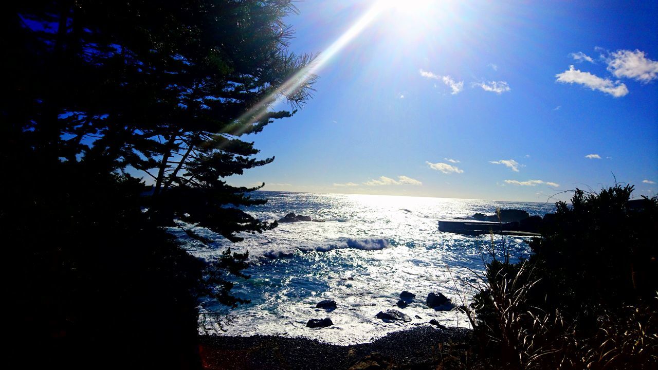 sunlight, sun, sunbeam, sea, nature, beauty in nature, water, sky, scenics, lens flare, tranquility, tranquil scene, no people, tree, silhouette, outdoors, sunset, day, horizon over water