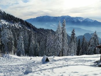 Idyllic shot of snowcapped mountains and trees against sky