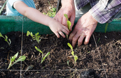 Man and child gardening together