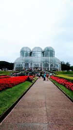 Group of people in greenhouse