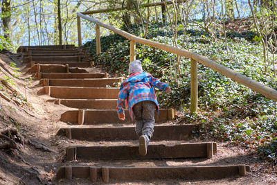 Full length rear view of man walking on staircase