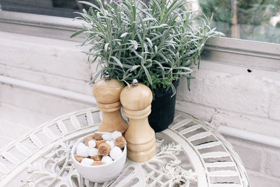 Potted plants by bowl with food on table