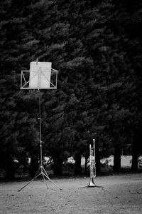 Trumpet on field against trees