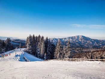 Winterscape and mountains